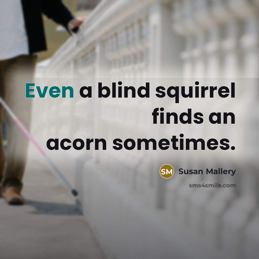 “Even a blind squirrel finds an acorn sometimes.” quote by Susan Mallery