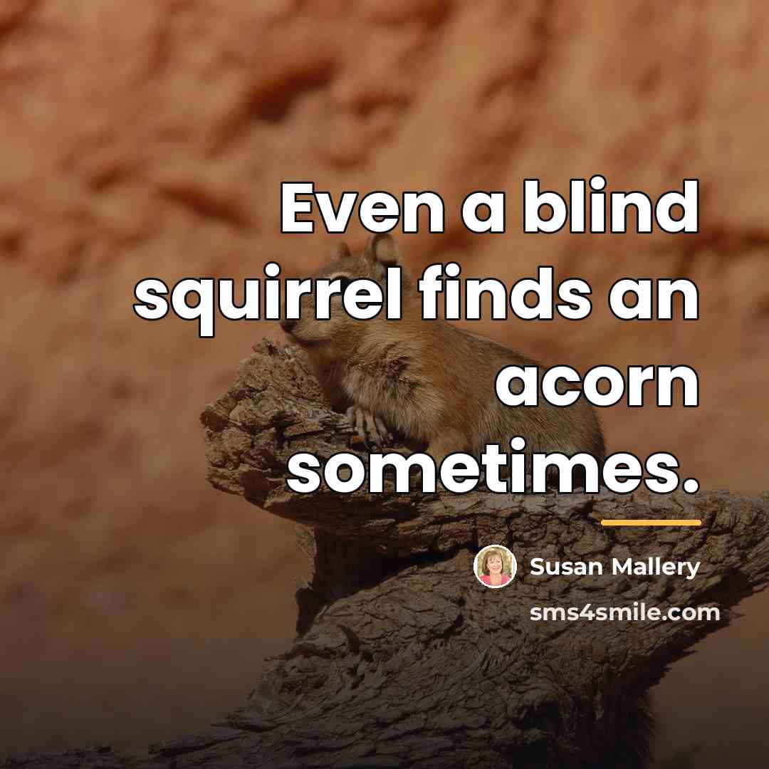 “Even a blind squirrel finds an acorn sometimes.…” quote by Susan Mallery