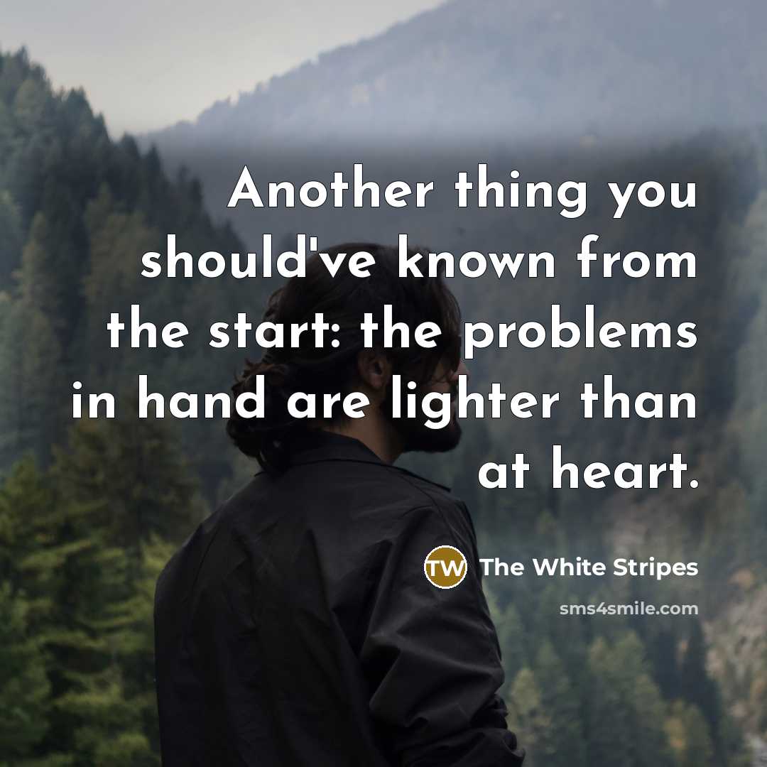 “Another thing you should've known from the start: the problems…” quote by The White Stripes