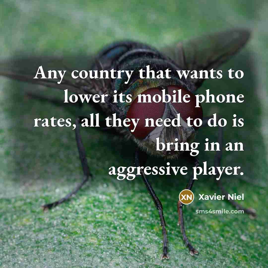 “Any country that wants to lower its mobile phone rates,…” quote by Xavier Niel