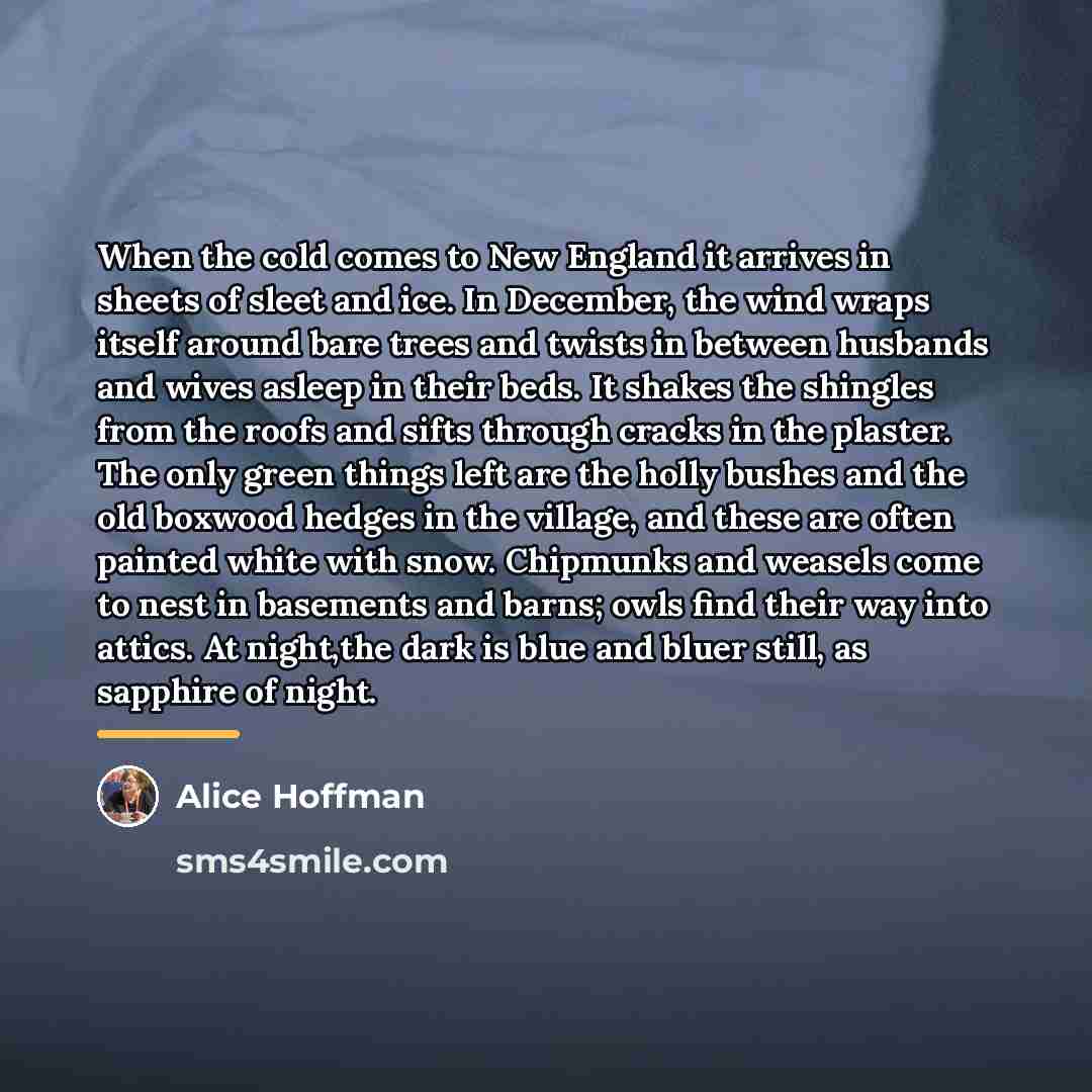 “When the cold comes to New England it arrives in…” quote by Alice Hoffman
