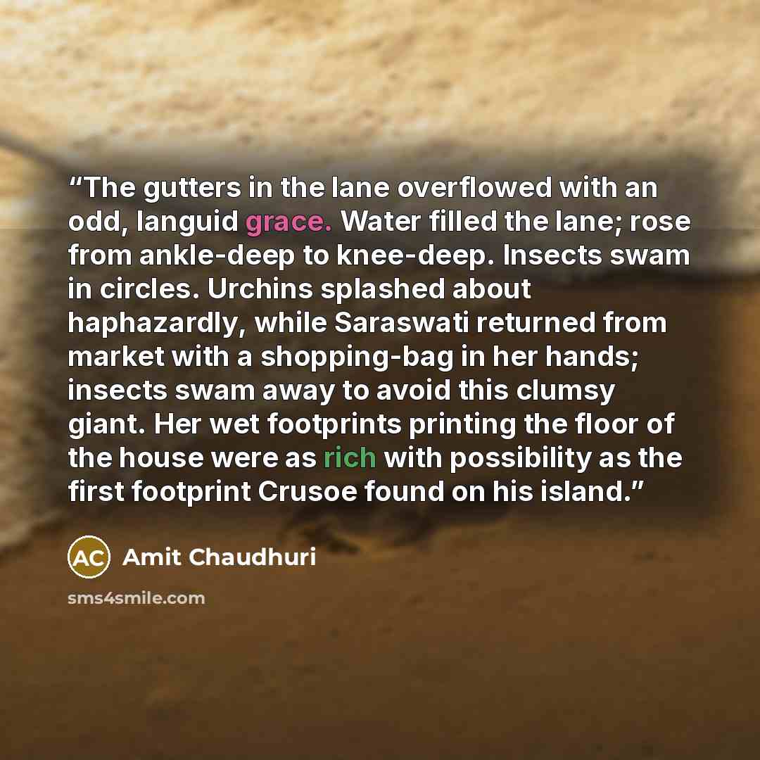 “The gutters in the lane overflowed with an odd, languid grace. Water filled the lane; rose from ankle-deep to knee-deep. Insects swam in circles. Urchins splashed about haphazardly, while Saraswati returned from market with a shopping-bag in her hands; insects swam away to avoid this clumsy giant…” quote by Amit Chaudhuri