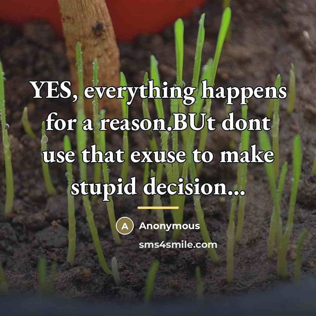 “YES, everything happens for a reason.BUt dont use that exuse…” quote by Anonymous