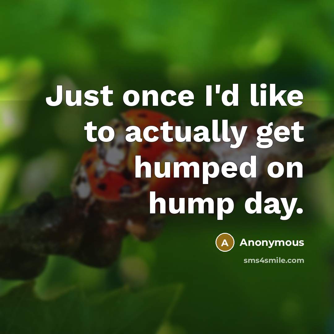 “Just once I'd like to actually get humped on hump…” quote by Anonymous