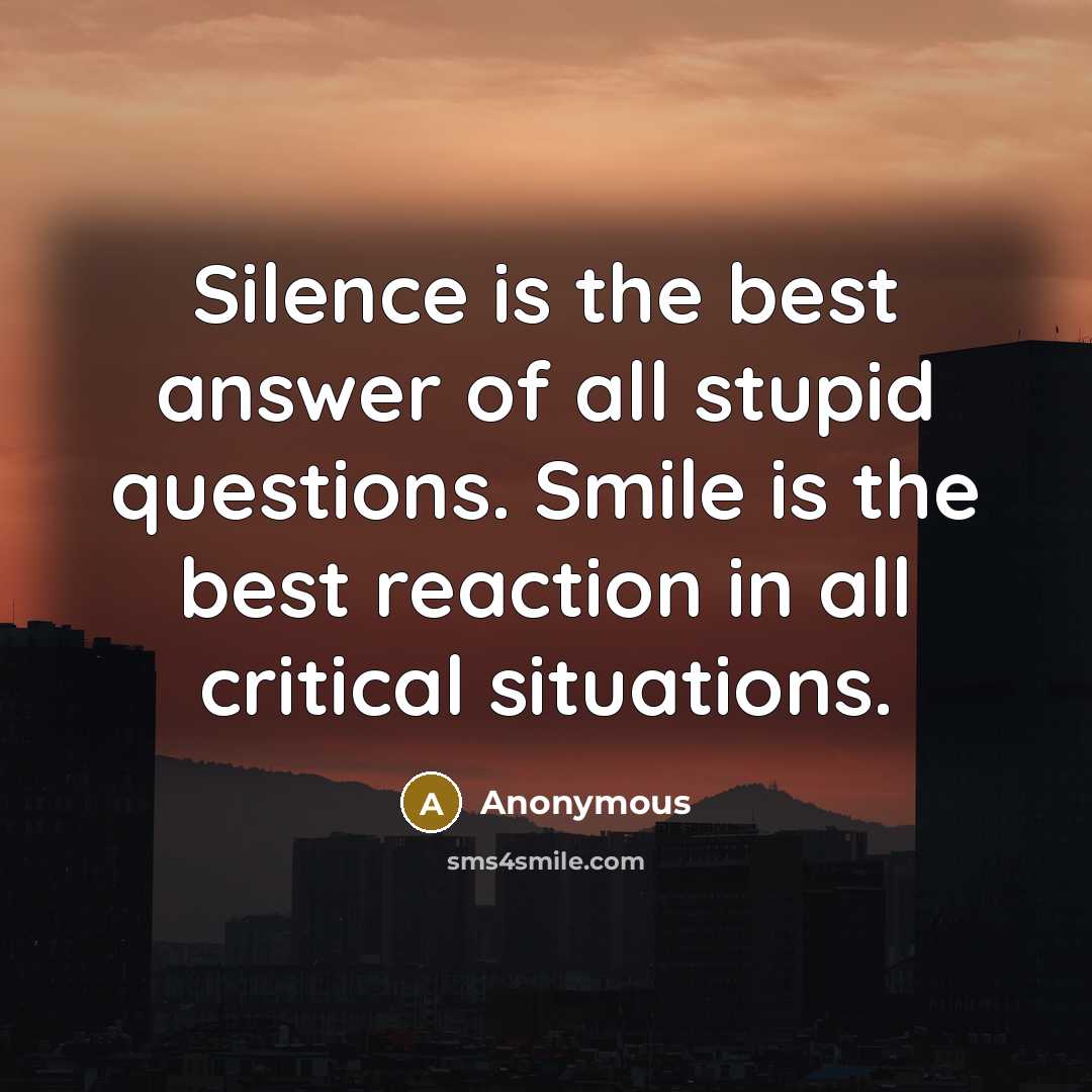 “Silence is the best answer of all stupid questions. Smile…” quote by Anonymous