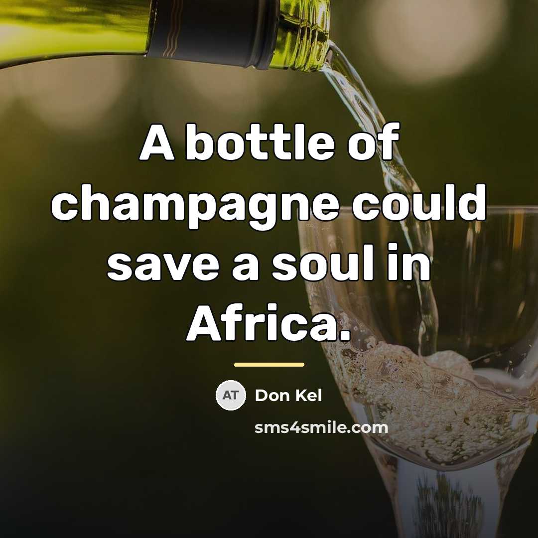“A bottle of champagne could save a soul in Africa.…” quote by Don Kel