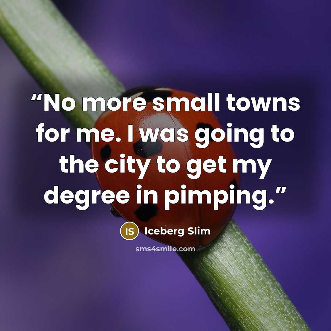 “No more small towns for me. I was going to the city to get my degree in pimping.” quote by Iceberg Slim