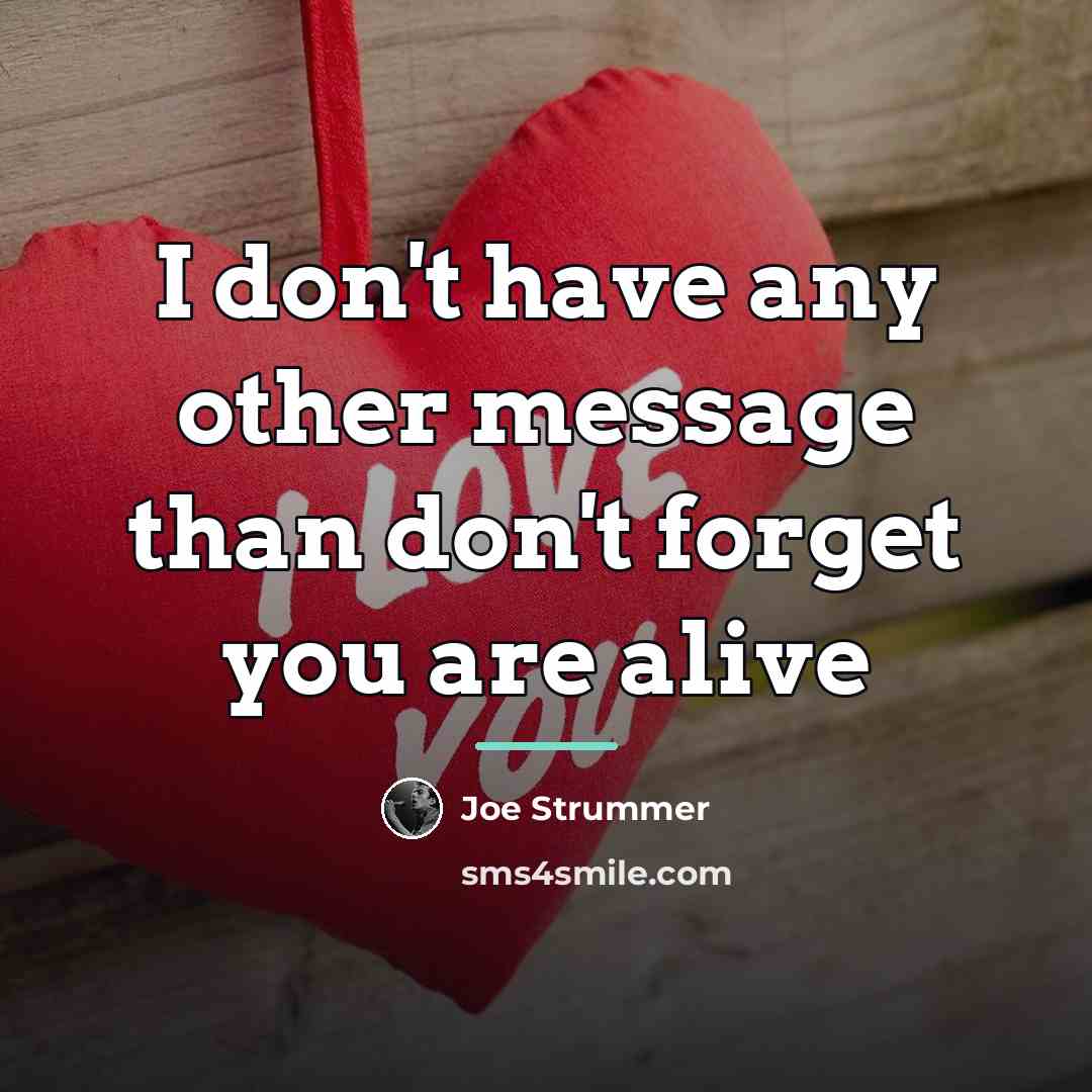 “I don't have any other message than don't forget you…” quote by Joe Strummer