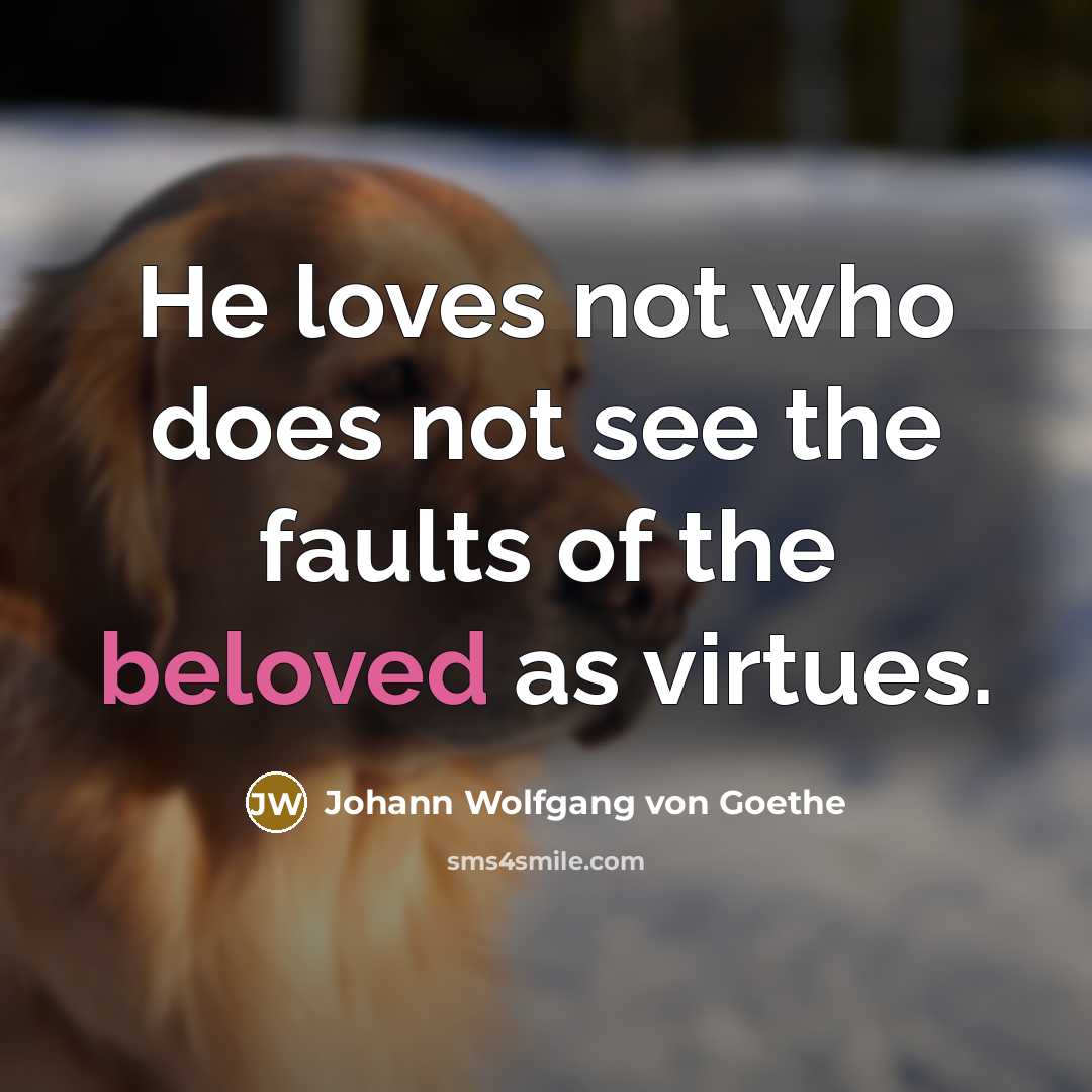 “He loves not who does not see the faults of…” quote by Johann Wolfgang von Goethe