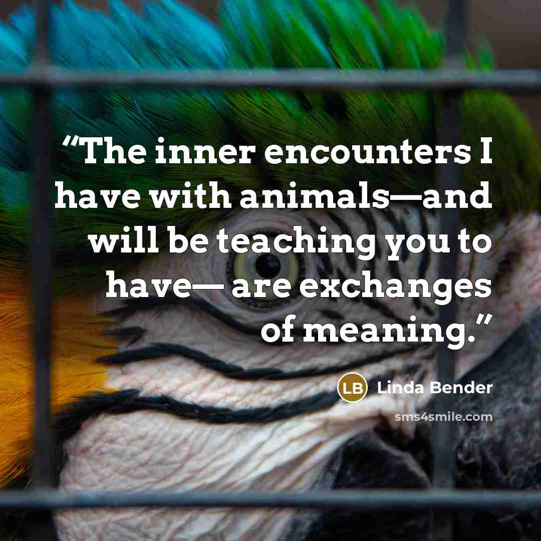 “The inner encounters I have with animals—and will be teaching you to have— are exchanges of meaning.” quote by Linda Bender