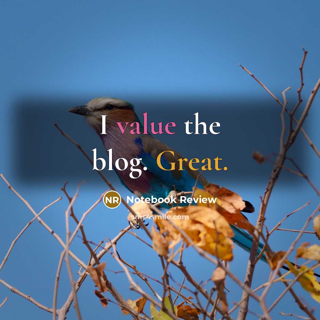 “I value the blog. Great.” quote by Notebook Review