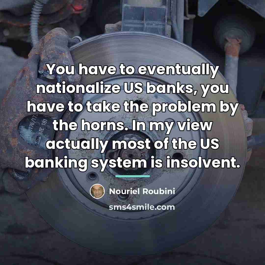 “You have to eventually nationalize US banks, you have to…” quote by Nouriel Roubini