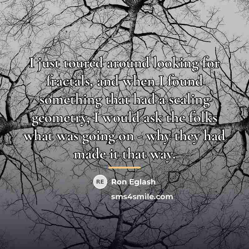 “I just toured around looking for fractals, and when I…” quote by Ron Eglash