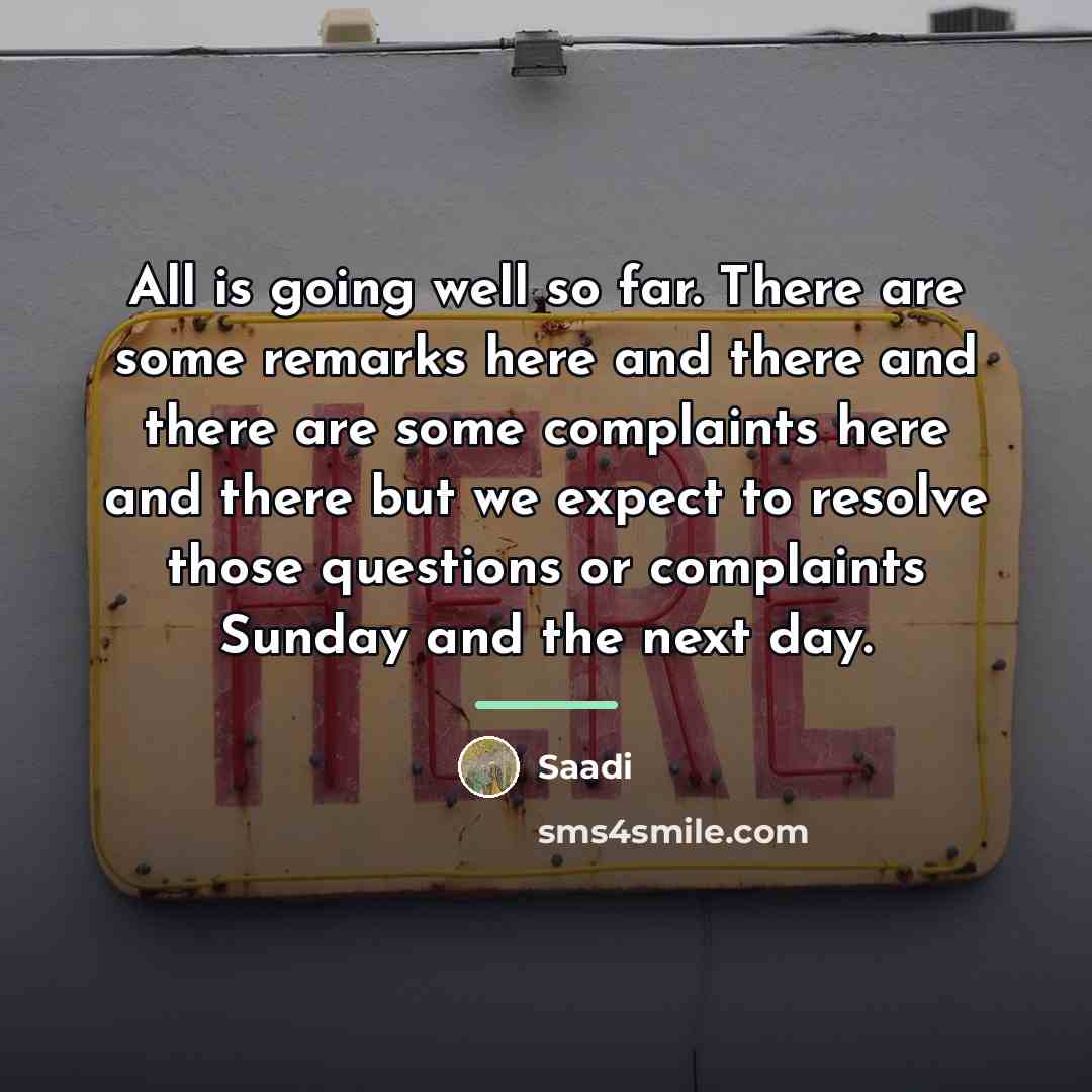 “All is going well so far. There are some remarks…” quote by Saadi