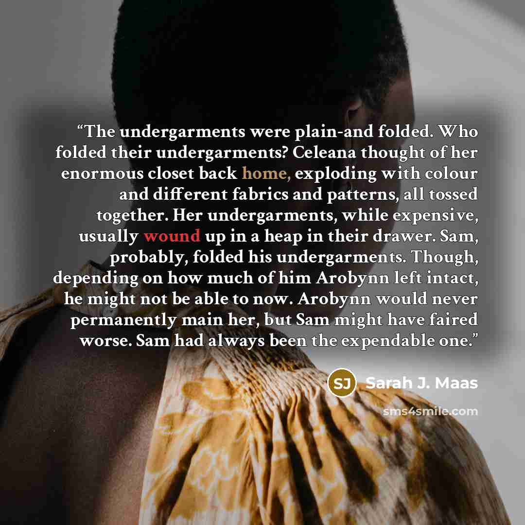 “The undergarments were plain-and folded. Who folded their undergarments? Celeana thought of her enormous closet back home, exploding with colour and different fabrics and patterns, all tossed together. Her undergarments, while expensive, usually wound up in a heap in their drawer. Sam, probably…” quote by Sarah J. Maas