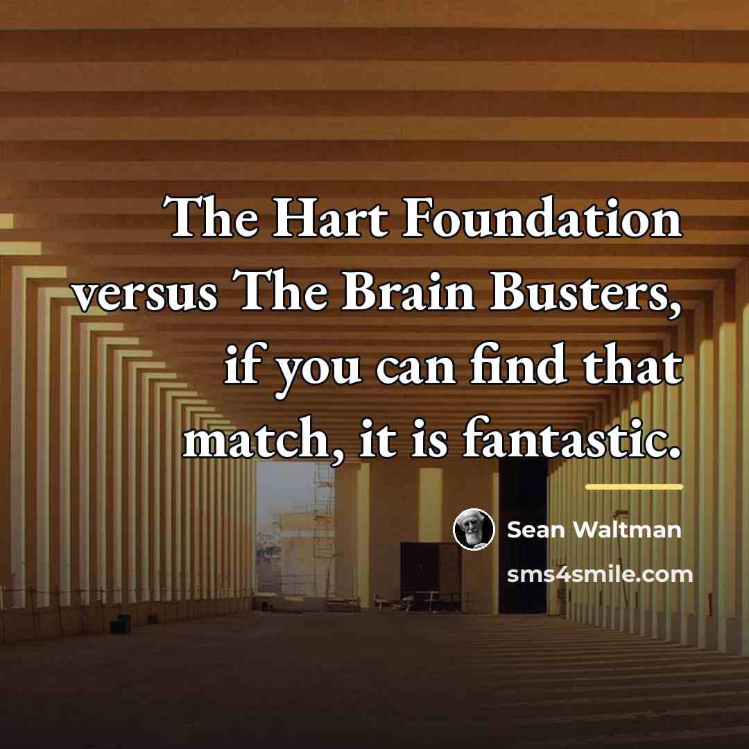 “The Hart Foundation versus The Brain Busters, if you can…” quote by Sean Waltman