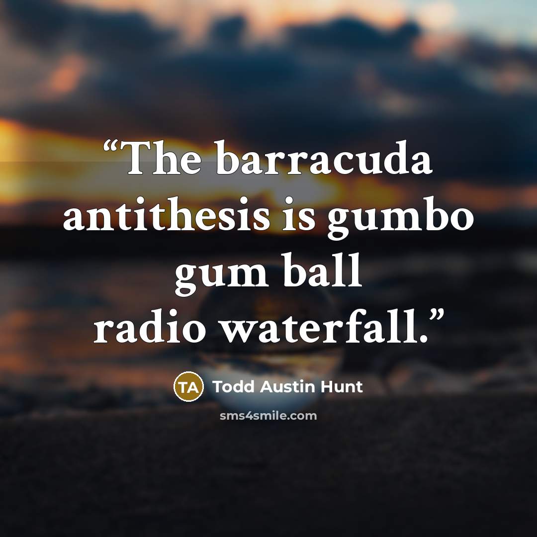 “The barracuda antithesis is gumbo gum ball radio waterfall.” quote by Todd Austin Hunt