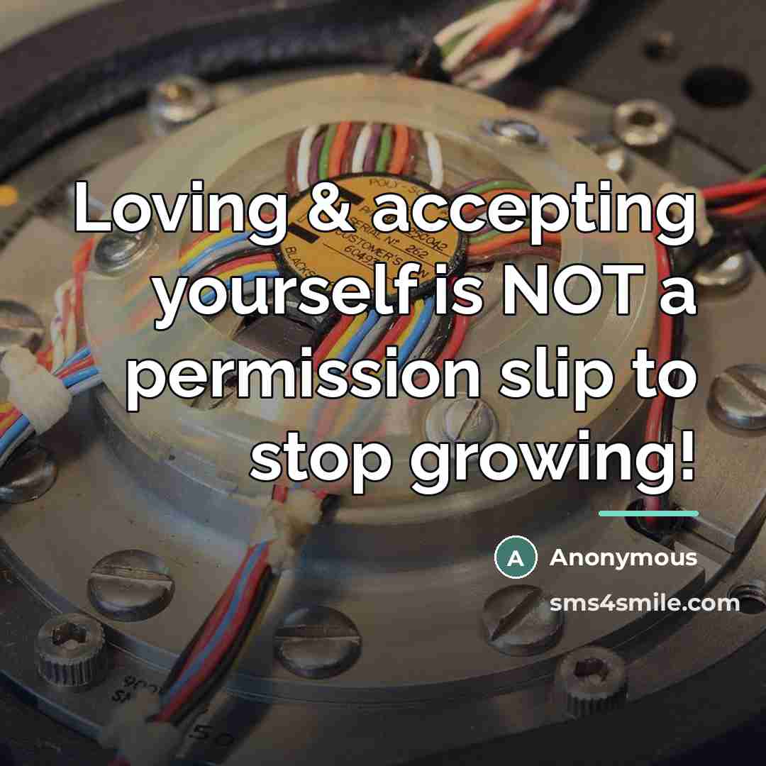 “Loving & accepting yourself is NOT a permission slip to…” quote by Anonymous