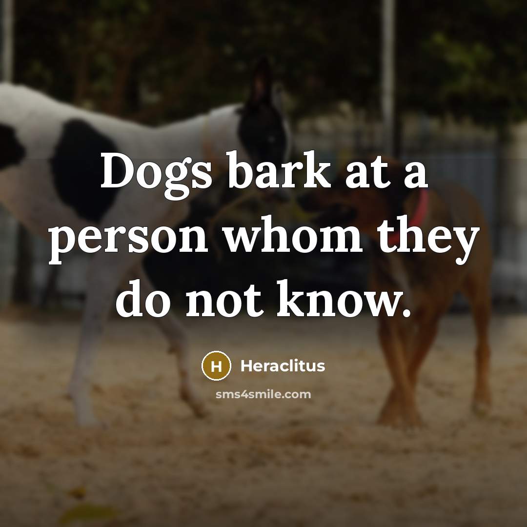 “Dogs bark at a person whom they do not know.…” quote by Heraclitus