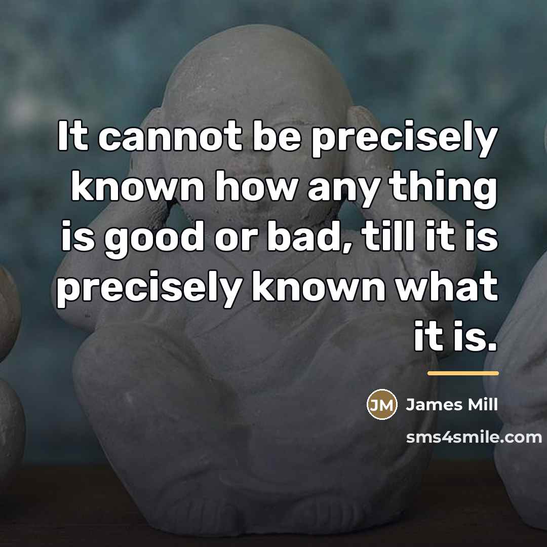 “It cannot be precisely known how any thing is good…” quote by James Mill