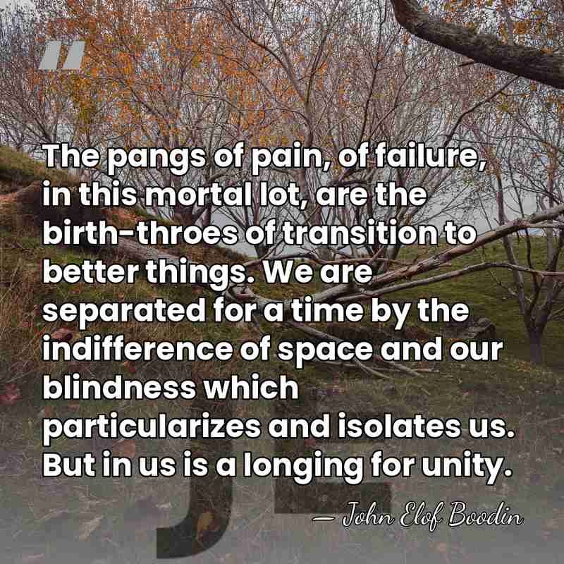 The pangs of pain, of failure, in this mortal lot, are the&hellip; - John Elof Boodin