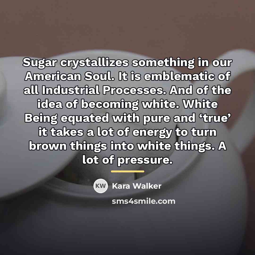 “Sugar crystallizes something in our American Soul. It is emblematic…” quote by Kara Walker