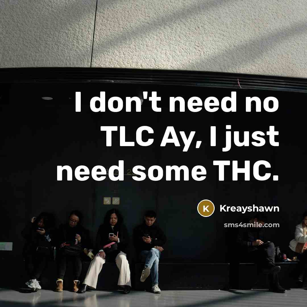 “I don't need no TLC Ay, I just need some…” quote by Kreayshawn