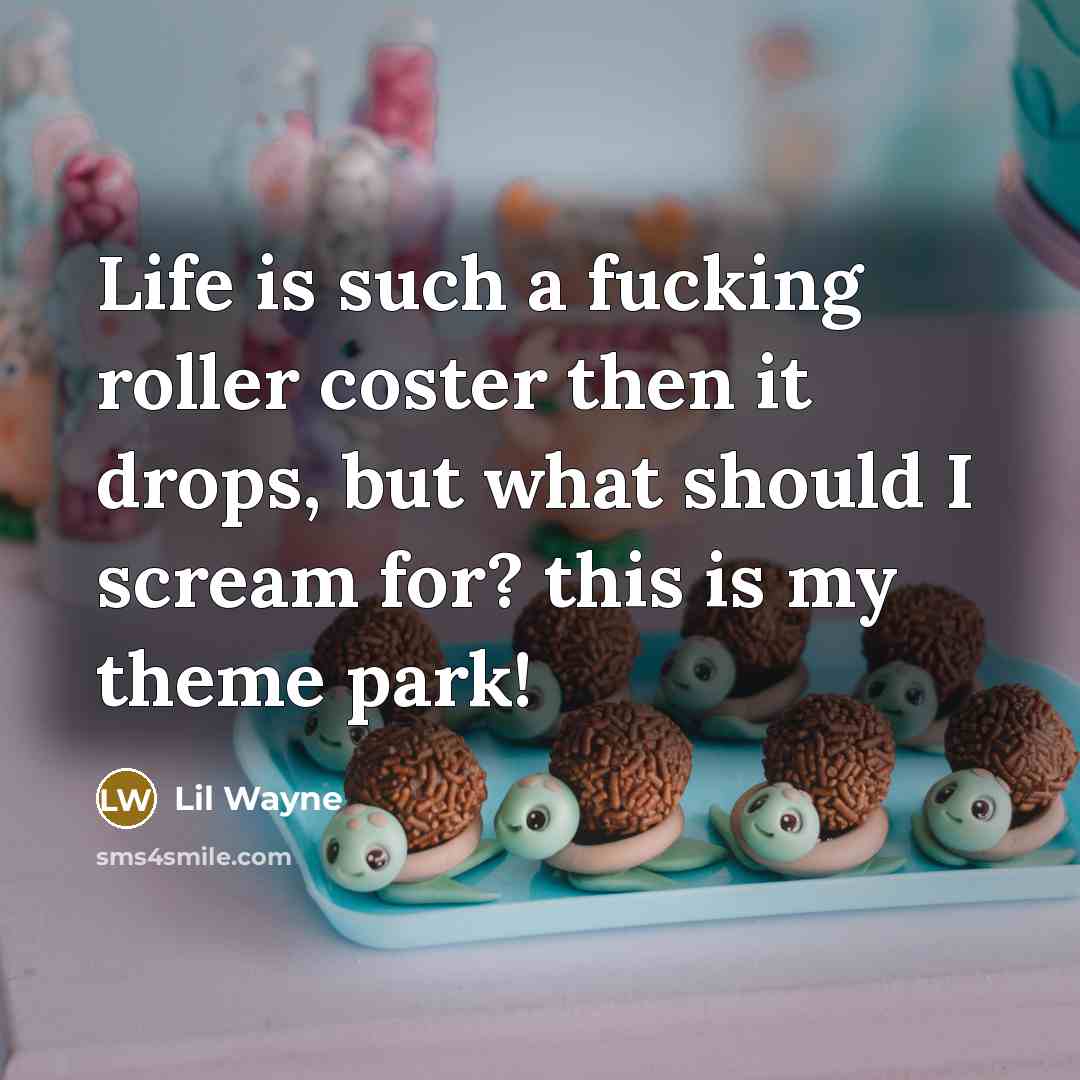 “Life is such a fucking roller coster then it drops,…” quote by Lil Wayne