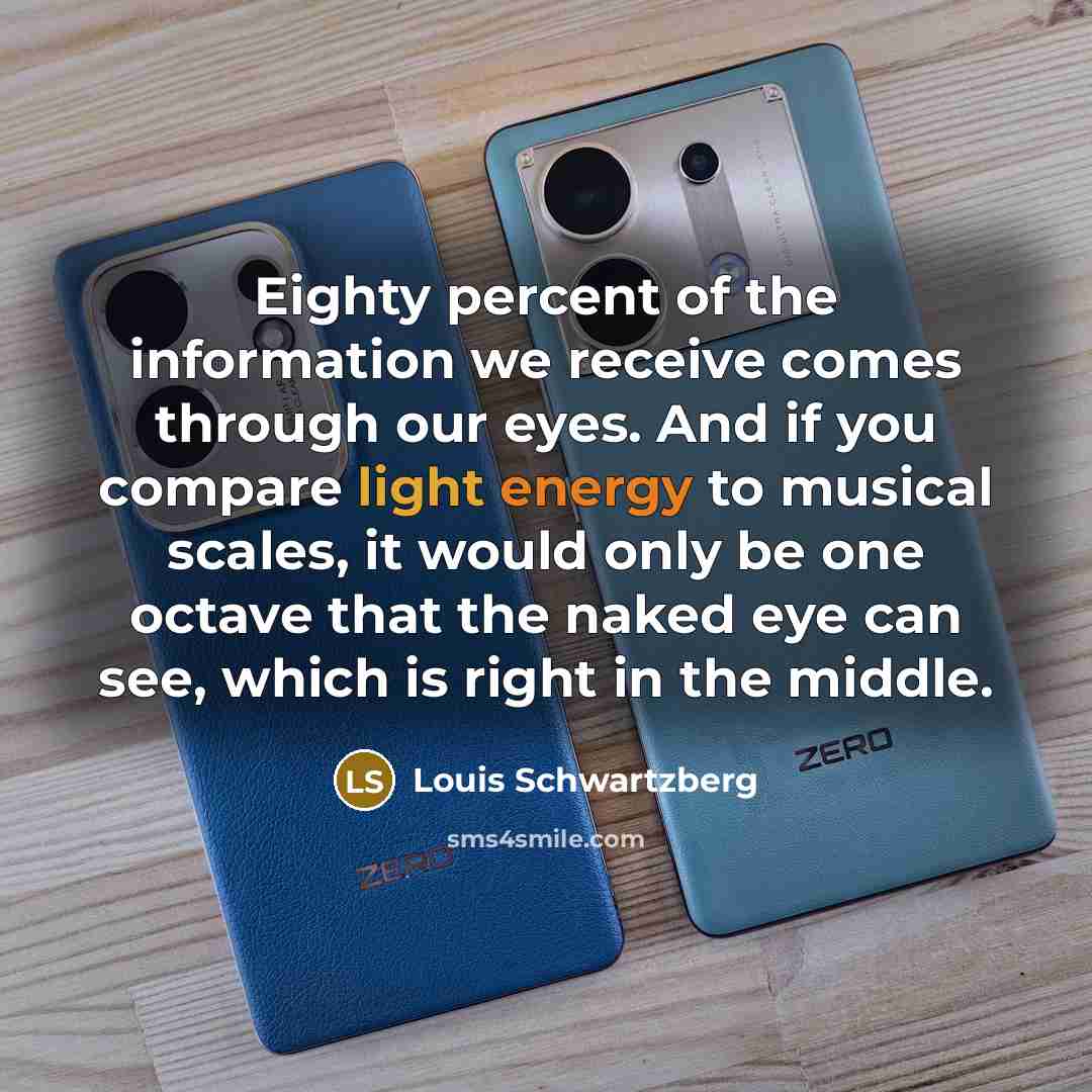 “Eighty percent of the information we receive comes through our…” quote by Louis Schwartzberg