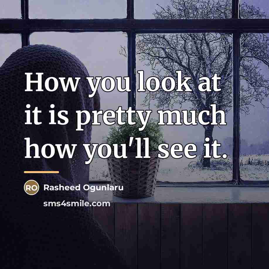 “How you look at it is pretty much how you'll…” quote by Rasheed Ogunlaru