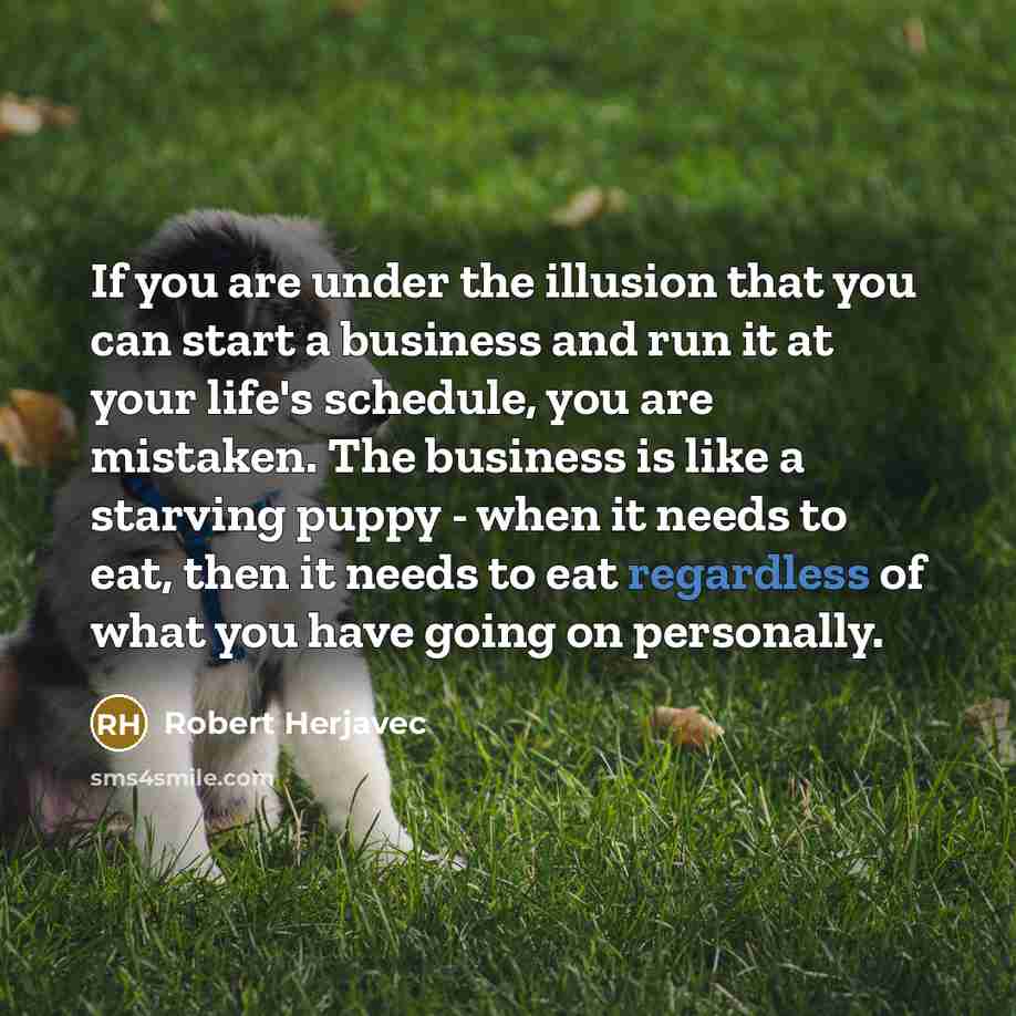 “If you are under the illusion that you can start…” quote by Robert Herjavec