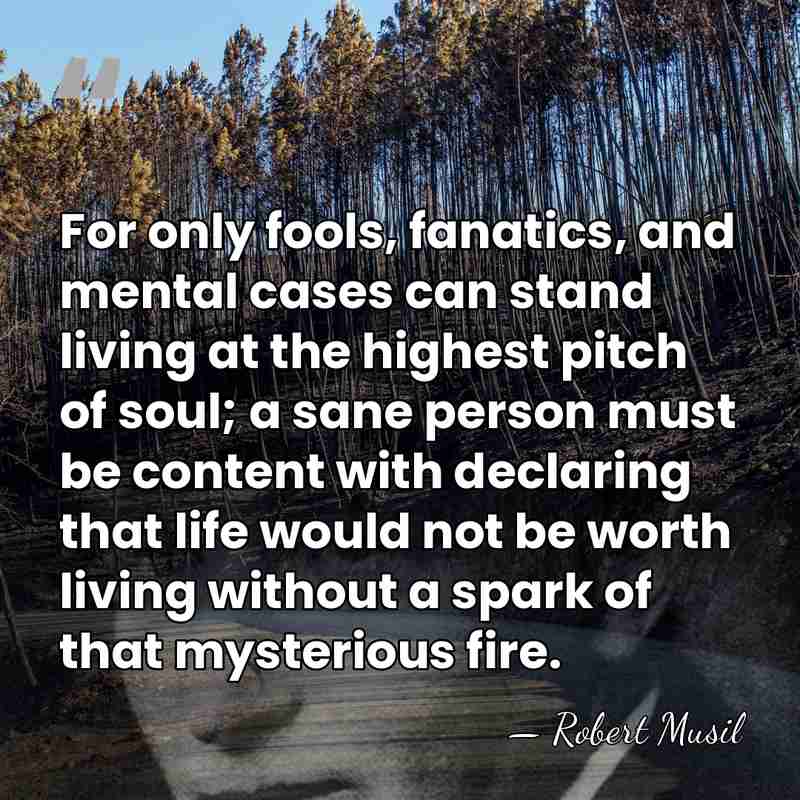 For only fools, fanatics, and mental cases can stand living at the&hellip; - Robert Musil