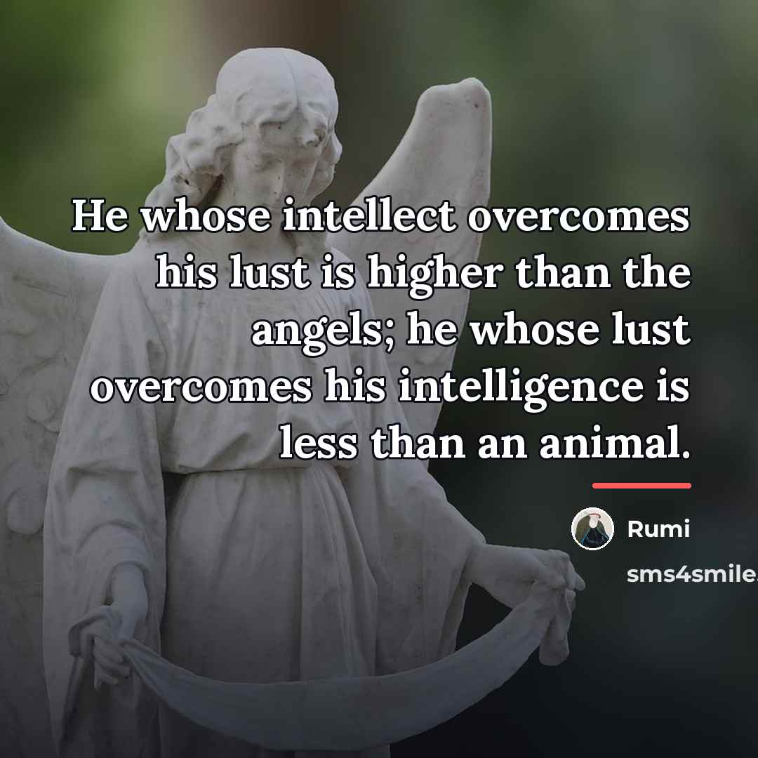 “He whose intellect overcomes his lust is higher than the…” quote by Rumi