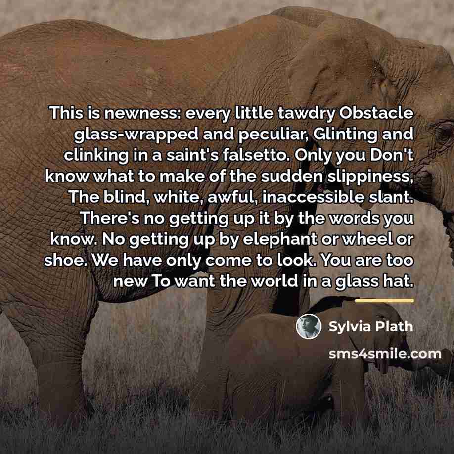 “This is newness: every little tawdry Obstacle glass-wrapped and peculiar,…” quote by Sylvia Plath