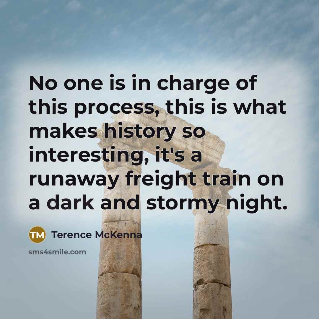 “No one is in charge of this process, this is…” quote by Terence McKenna