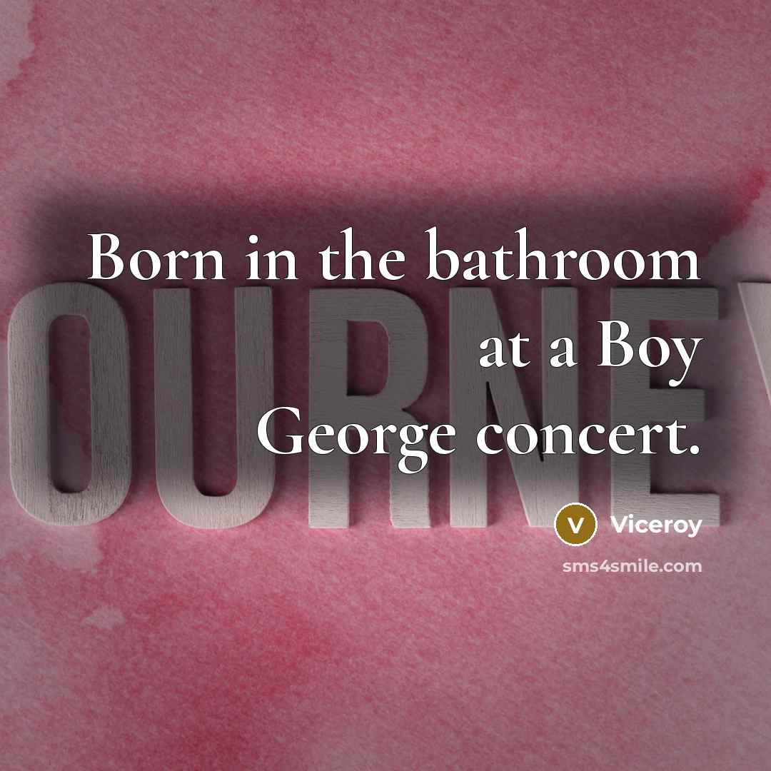 “Born in the bathroom at a Boy George concert.” quote by Viceroy
