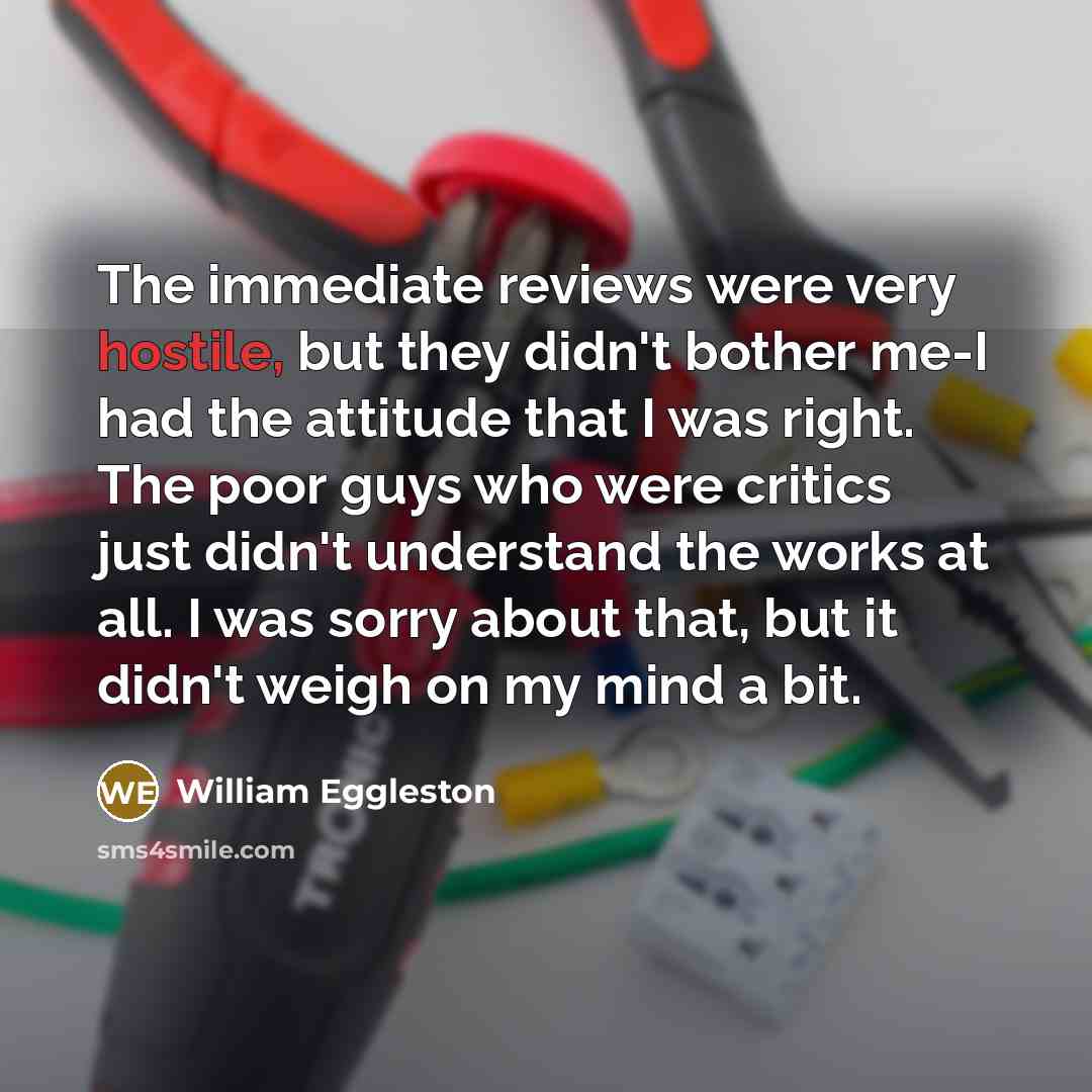 “The immediate reviews were very hostile, but they didn't bother…” quote by William Eggleston