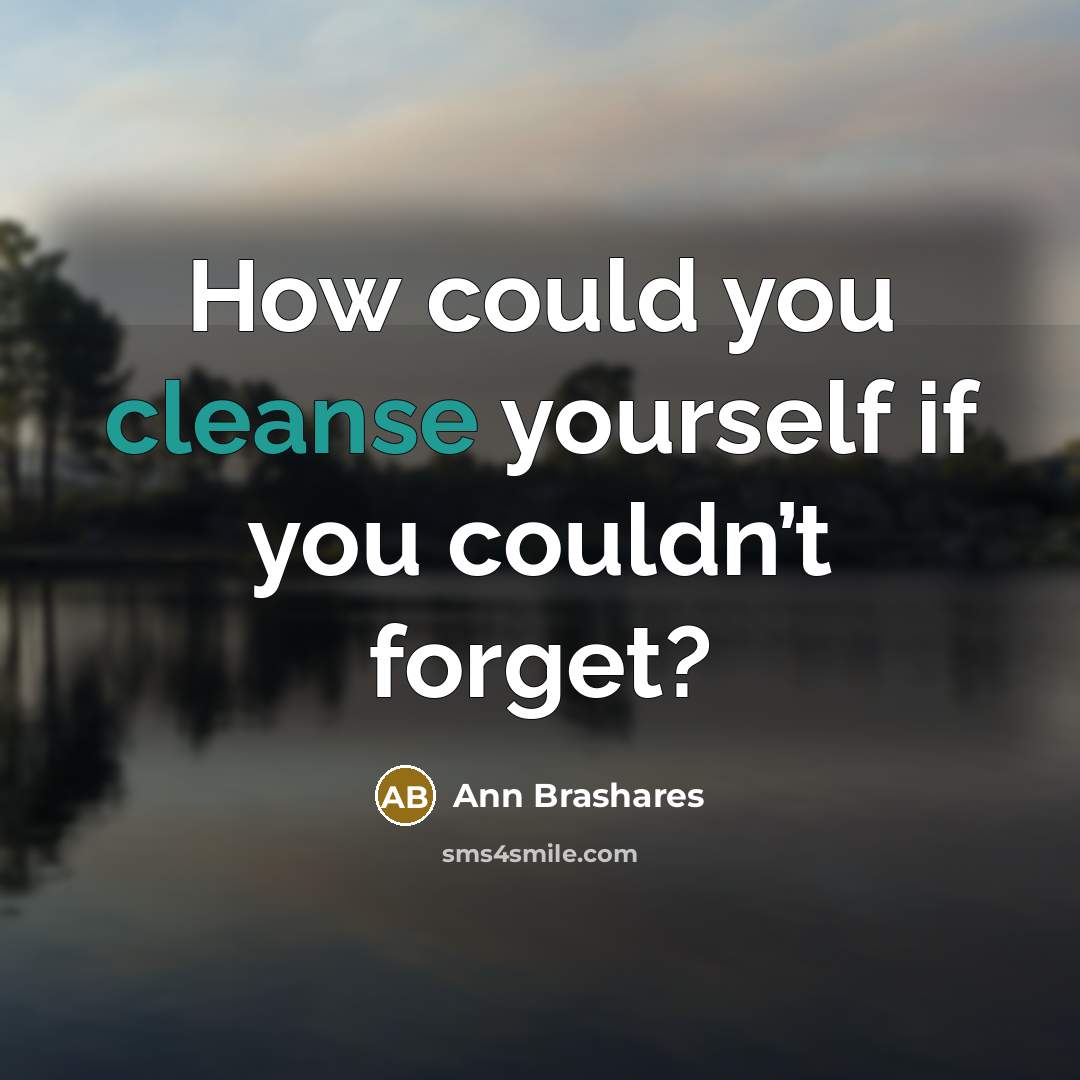 “How could you cleanse yourself if you couldn’t forget?” quote by Ann Brashares
