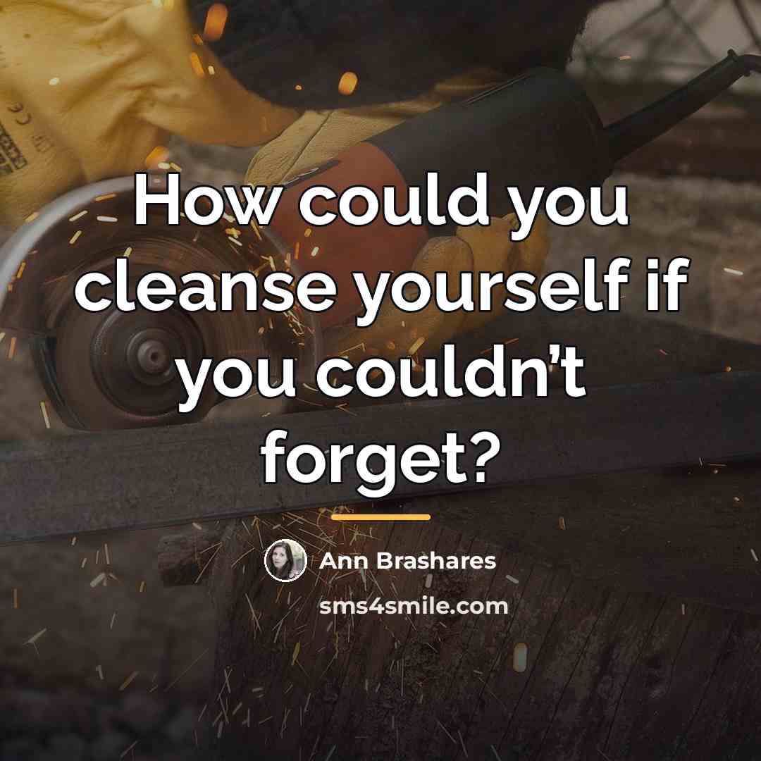 “How could you cleanse yourself if you couldn’t forget?…” quote by Ann Brashares