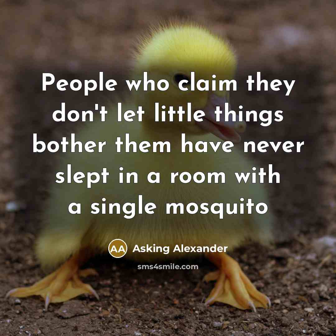 “People who claim they don't let little things bother them…” quote by Asking Alexander