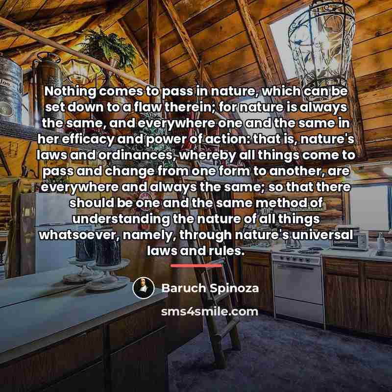 “Nothing comes to pass in nature, which can be set…” quote by Baruch Spinoza