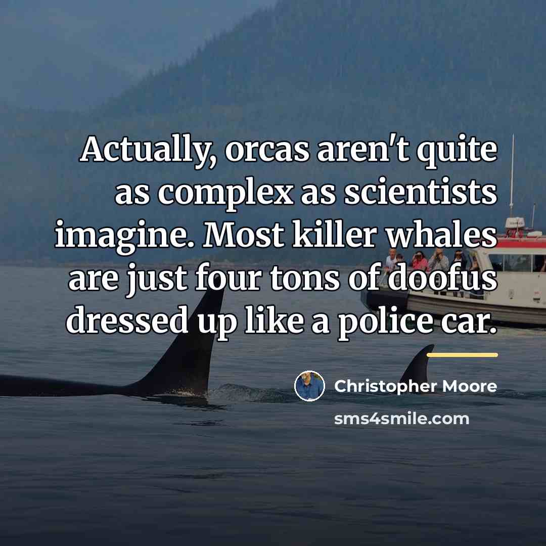 “Actually, orcas aren't quite as complex as scientists imagine. Most…” quote by Christopher Moore
