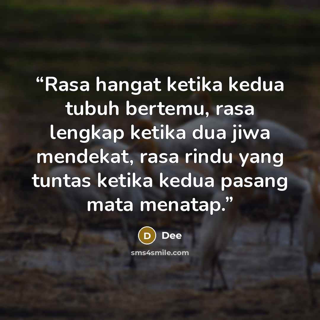 “Rasa hangat ketika kedua tubuh bertemu, rasa lengkap ketika dua jiwa mendekat, rasa rindu yang tuntas ketika kedua pasang mata menatap.” quote by Dee