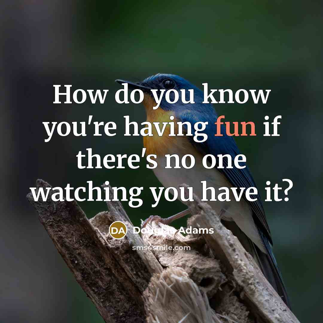 “How do you know you're having fun if there's no…” quote by Douglas Adams