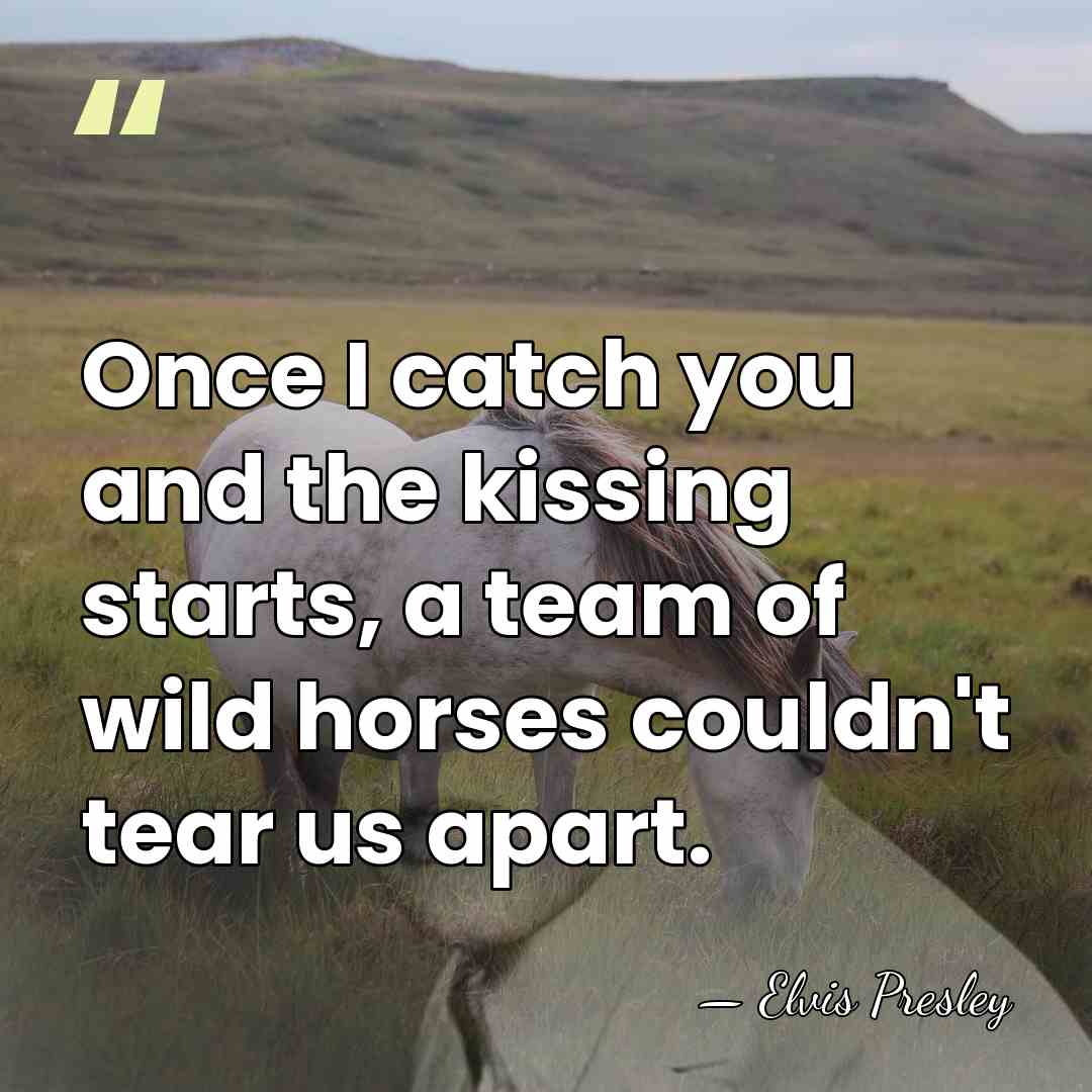 Once I catch you and the kissing starts, a team of wild&hellip; - Elvis Presley
