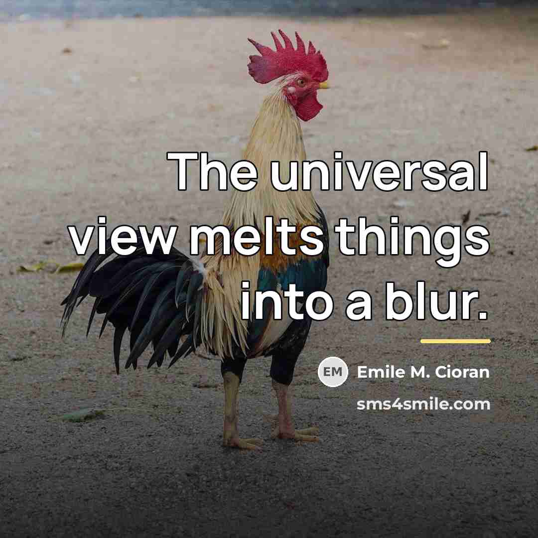 “The universal view melts things into a blur.…” quote by Emile M. Cioran