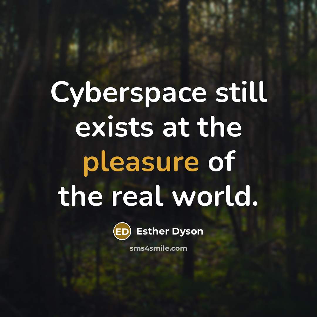 “Cyberspace still exists at the pleasure of the real world.…” quote by Esther Dyson