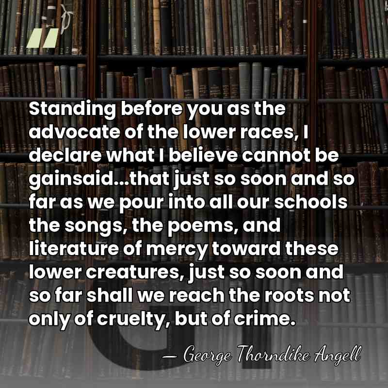 Standing before you as the advocate of the lower races, I declare&hellip; - George Thorndike Angell