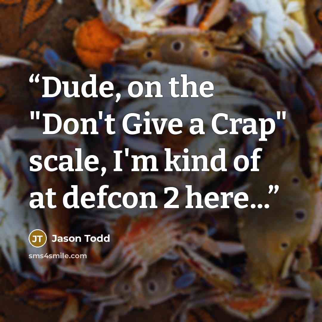 “Dude, on the "Don't Give a Crap" scale, I'm kind of at defcon 2 here...” quote by Jason Todd