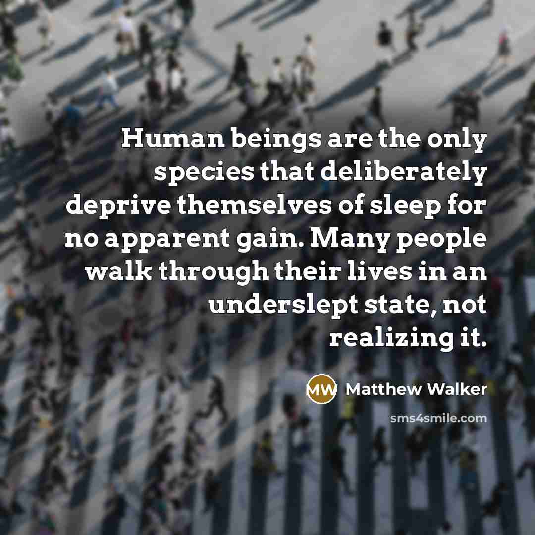 “Human beings are the only species that deliberately deprive themselves…” quote by Matthew Walker